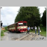 BF017_t BF017_t