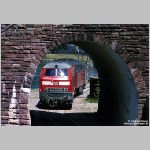 BF029_t BF029_t